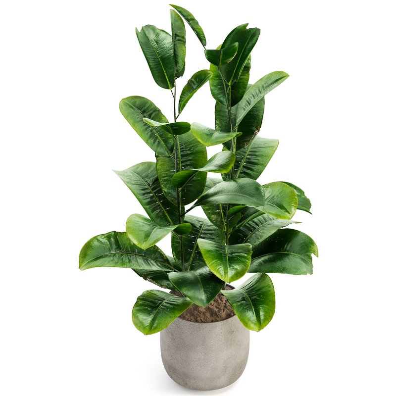 Indoor Plant Set 017 - Image 3