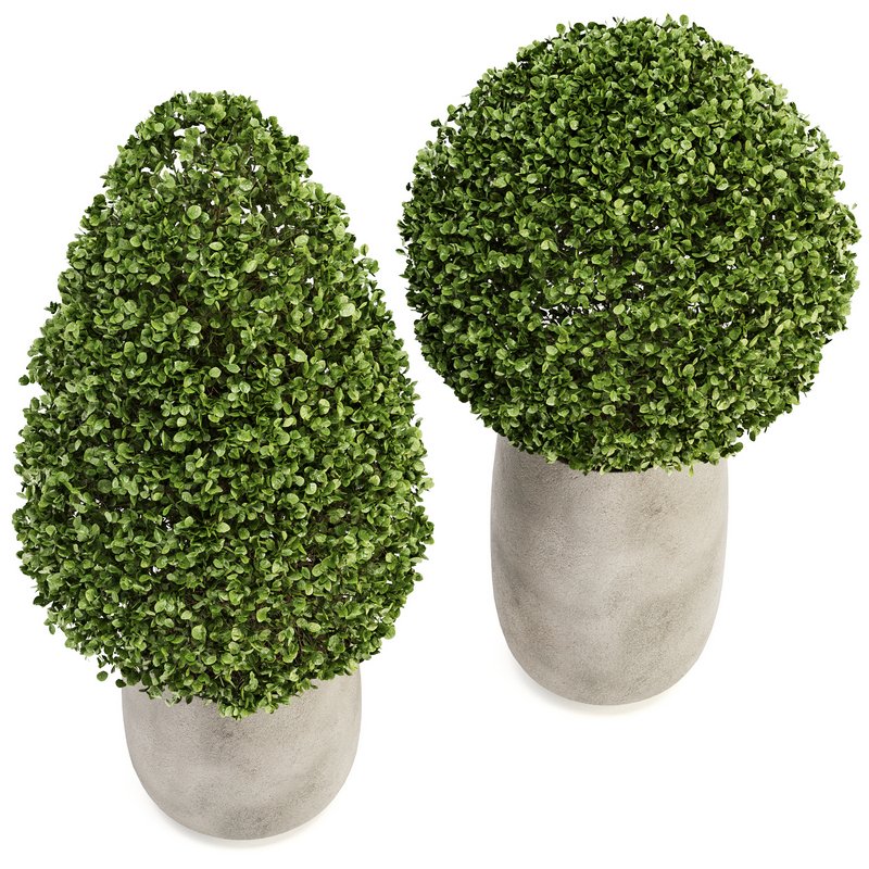 Outdoor Plant Set 01 - Image 2