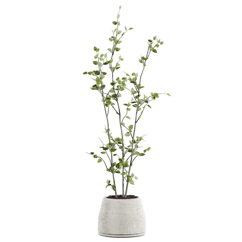 plants set 05 - Image 1