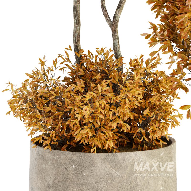 Indoor Plant Set 022 - Image 2