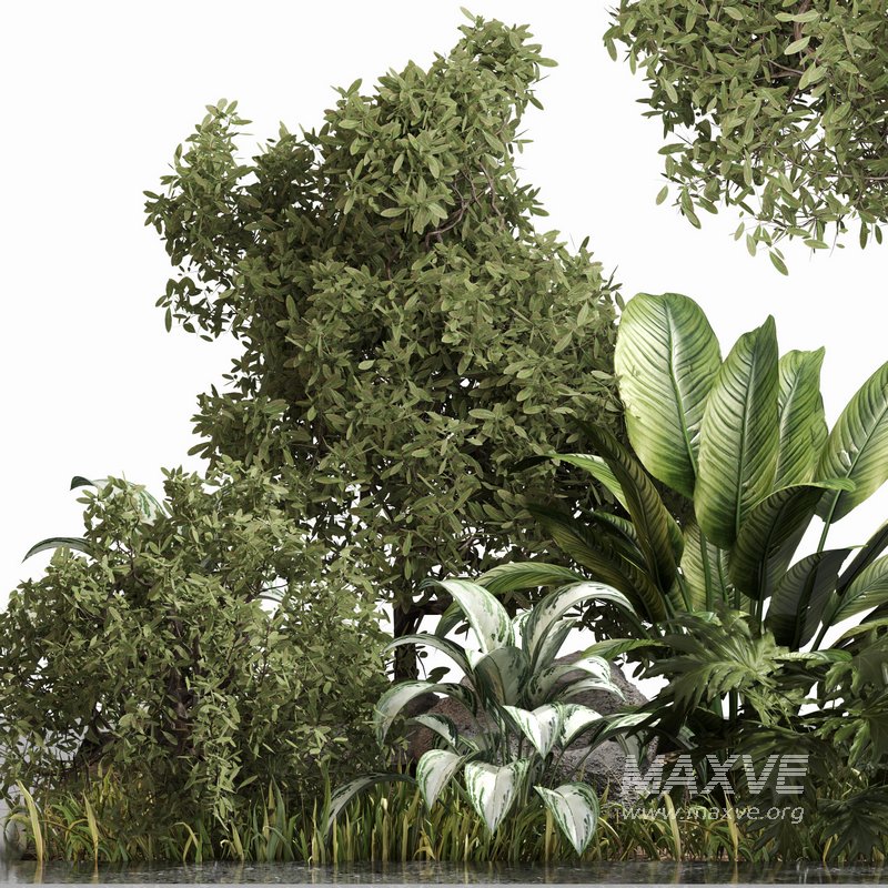 outdoor Plant Set 04 - Image 4