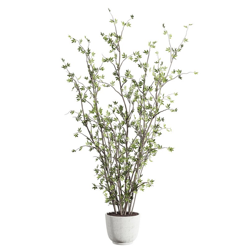 plants set 03 - Image 1