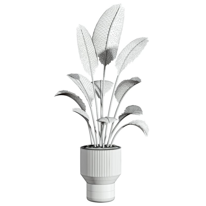 plants set 02 - Image 3