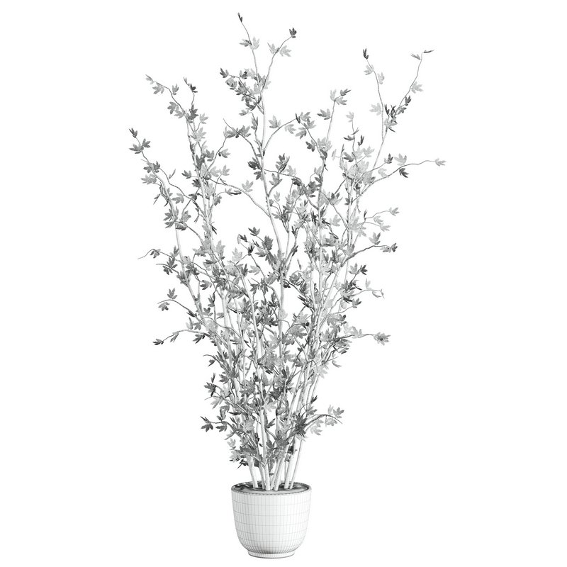 plants set 03 - Image 3