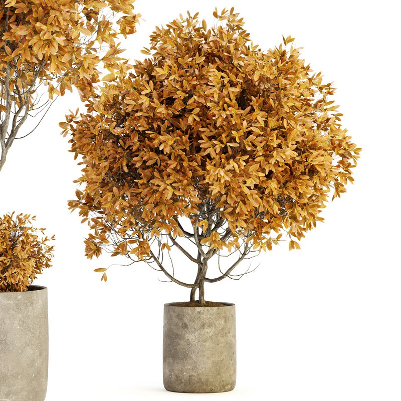 Indoor Plant Set 022 - Image 3