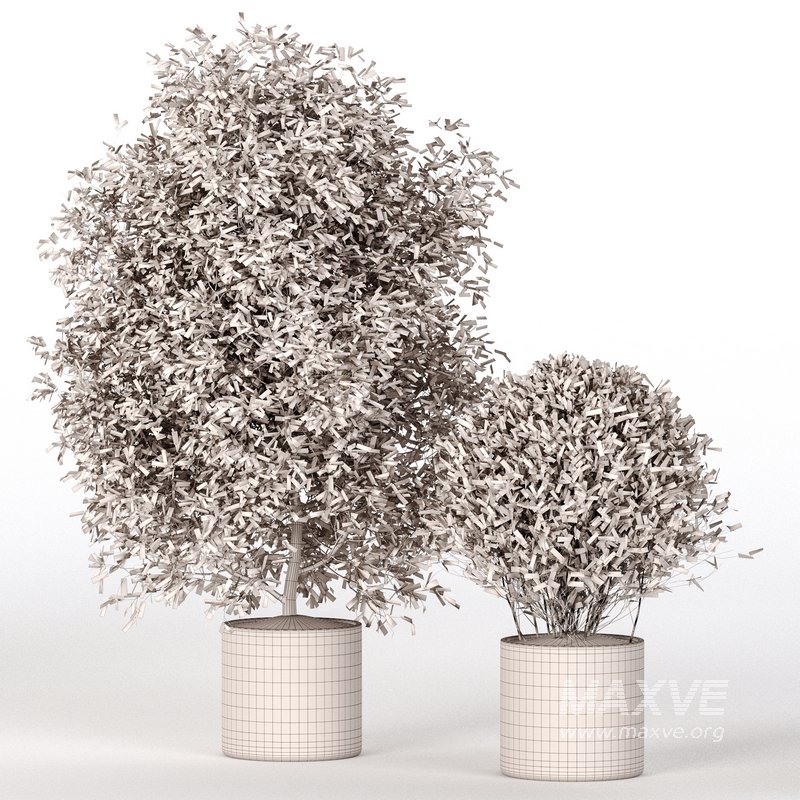 Indoor Plant Set 028 - Image 4