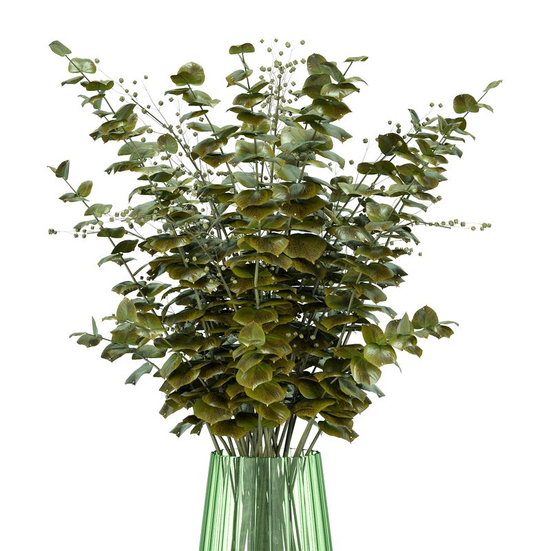 Plant Set 04 - Image 3