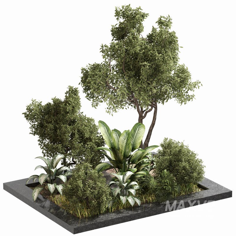 outdoor Plant Set 04 - Image 1