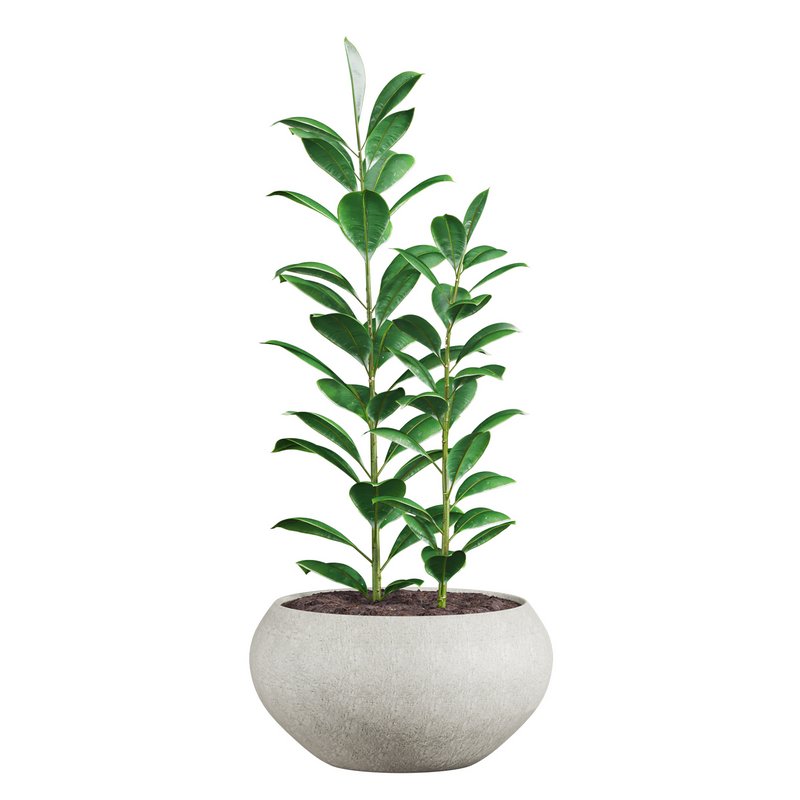 plants set 04 - Image 2