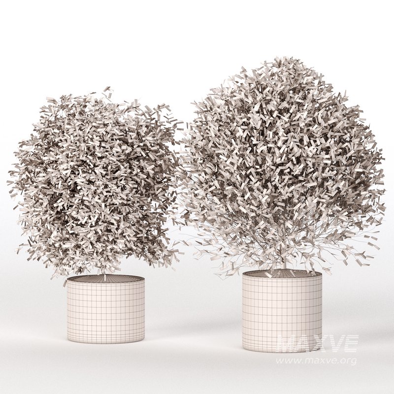 Indoor Plant Set 029 - Image 4