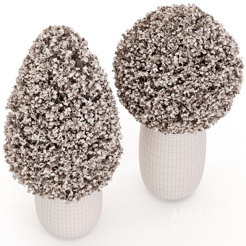 Outdoor Plant Set 01 - Image 3