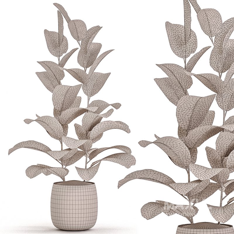 Indoor Plant Set 017 - Image 4