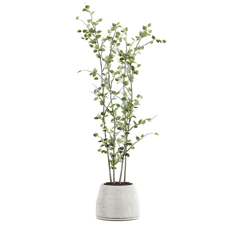 plants set 05 - Image 3