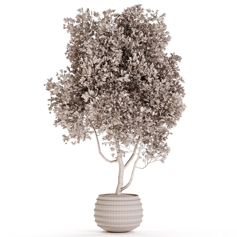 Indoor Plant Set 09 - Image 3