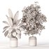 Indoor Plant Set 024 - Thumbnail 4