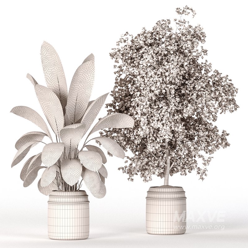 Indoor Plant Set 024 - Image 4