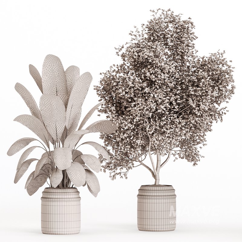 Indoor Plant Set 023 - Image 4