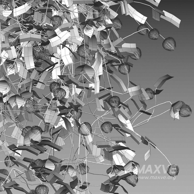 Clematis Bill MacKenzie – Clematis tangutica 01 - Image 4