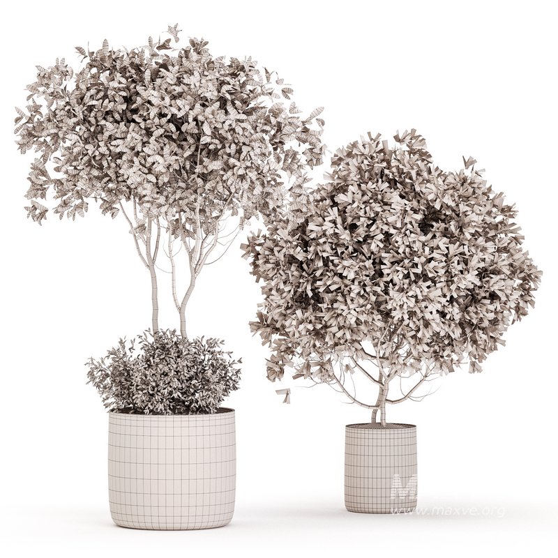 Indoor Plant Set 022 - Image 4