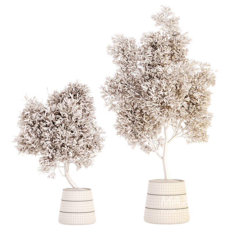 Plant Set 05 - Image 4