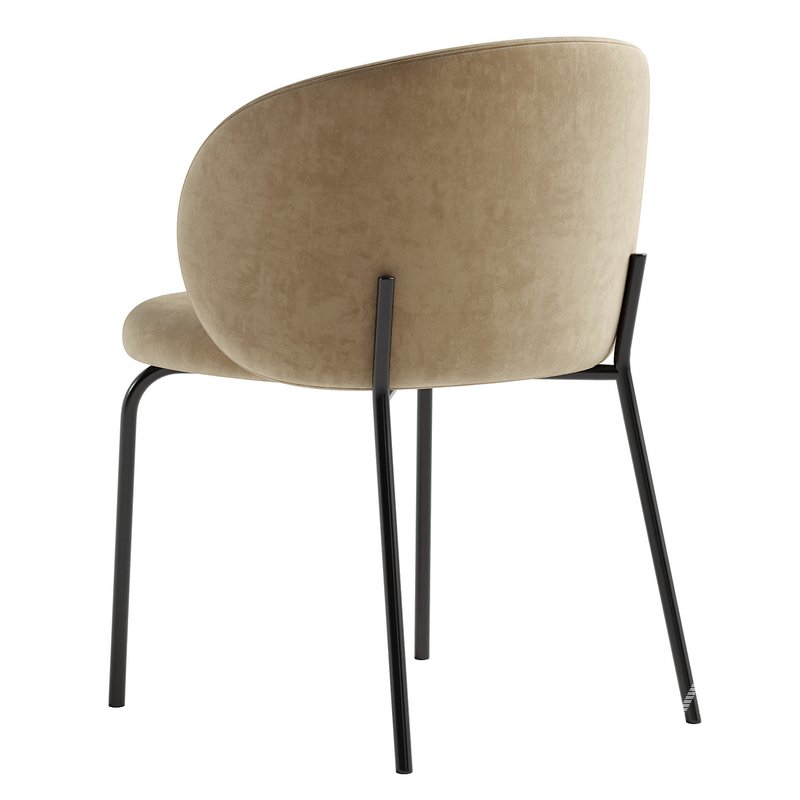 Shari Dining Chair - Image 4
