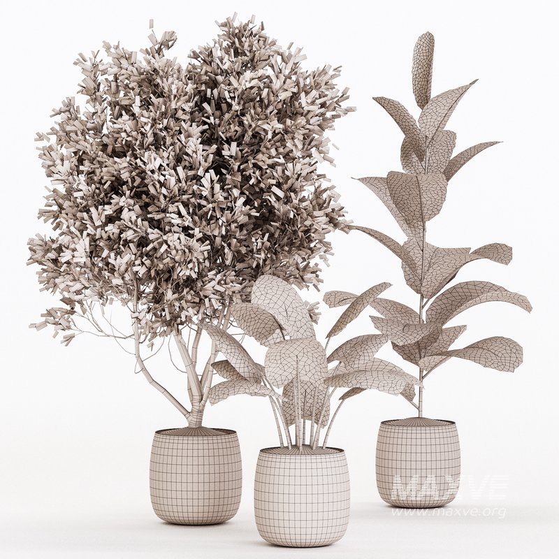 Indoor Plant Set 021 - Image 4