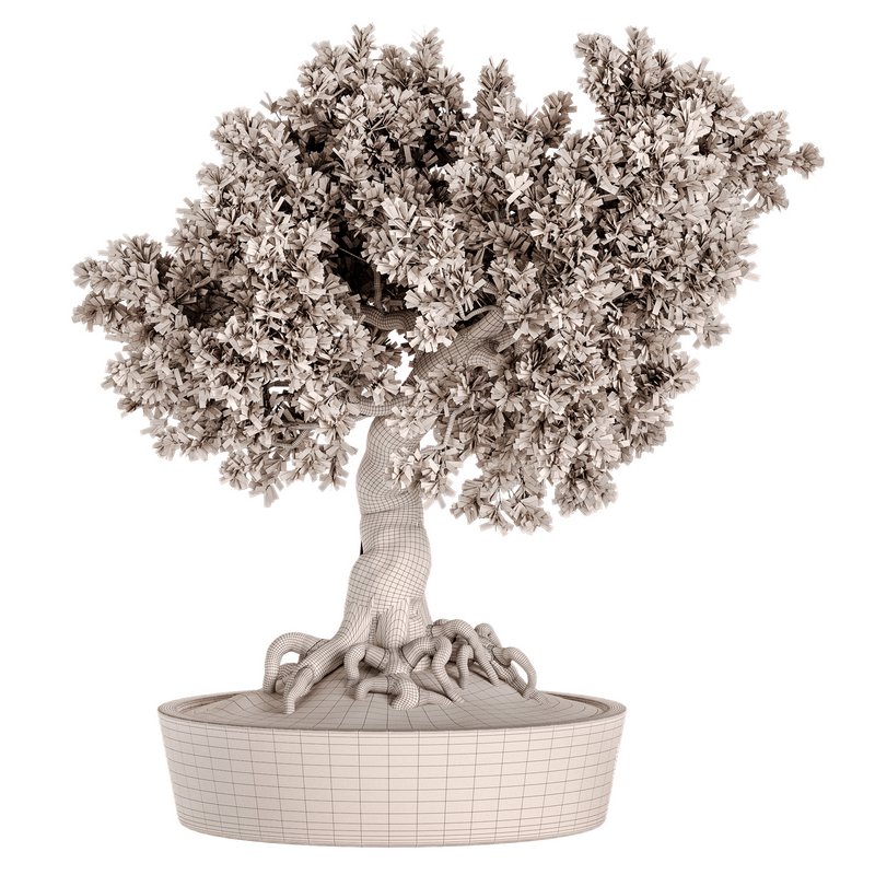 Indoor Plant Set 030 - Image 4