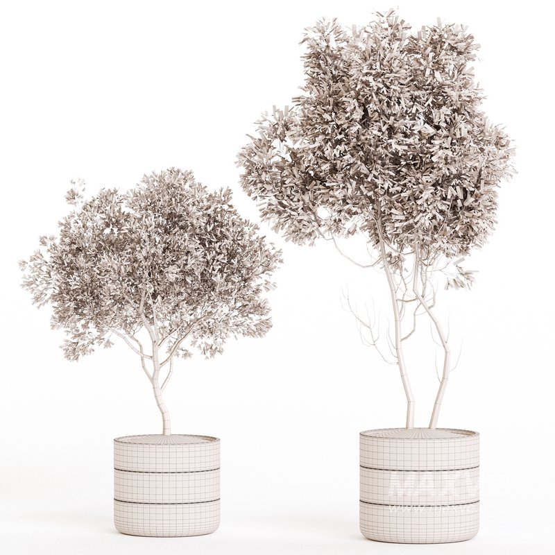 Indoor Plant Set 06 - Image 6