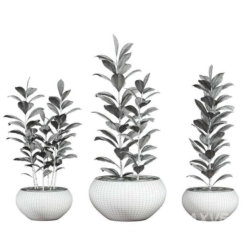 plants set 04 - Image 5