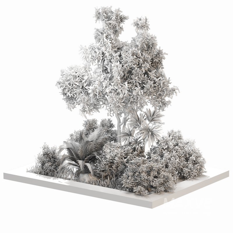 outdoor Plant Set 05 - Image 4