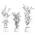 plants set 05 - Thumbnail 2