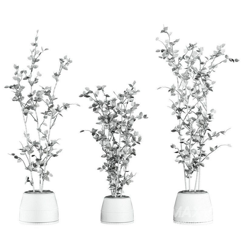 plants set 05 - Image 2