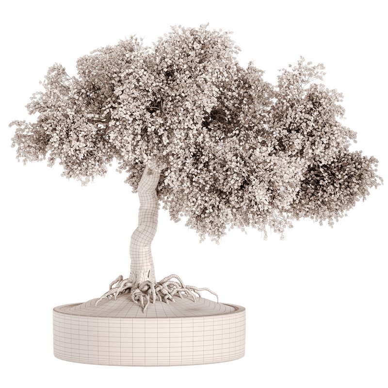 Indoor Plant Set 031 - Image 5