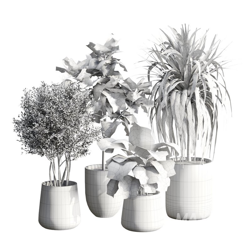 Indoor Plant 24 - Image 6