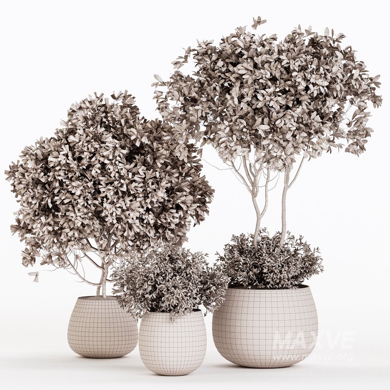 Indoor Plant Set 07 - Image 6