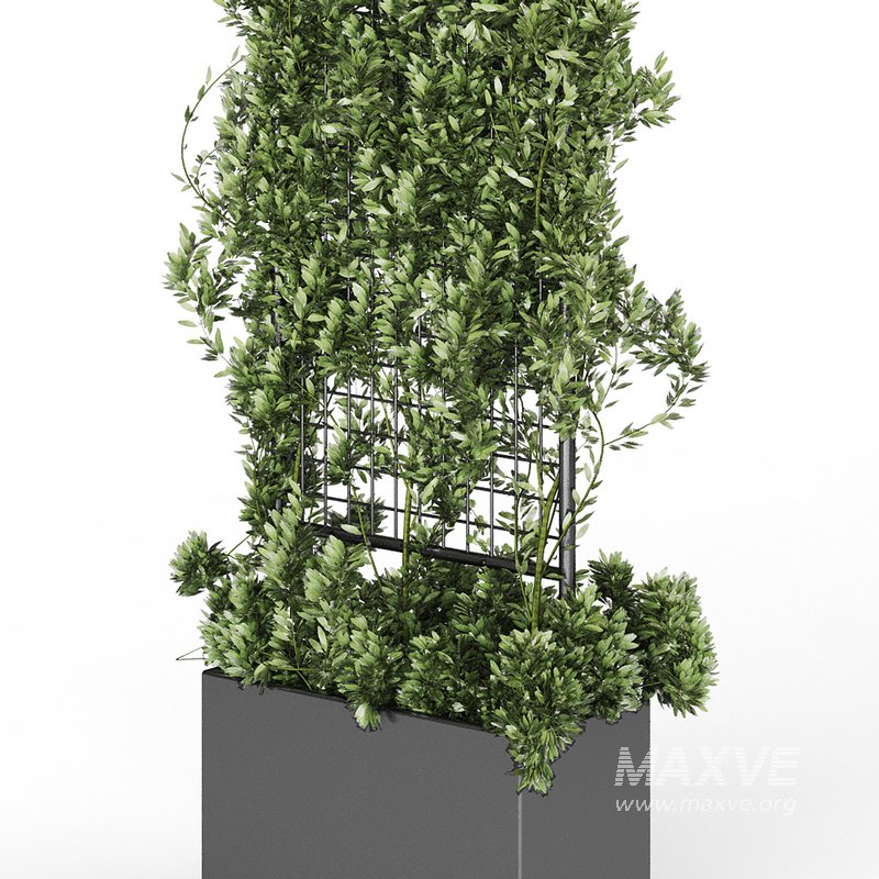 Botanical Planter 2 - Image 11