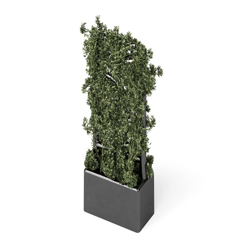 Botanical Planter - Image 10