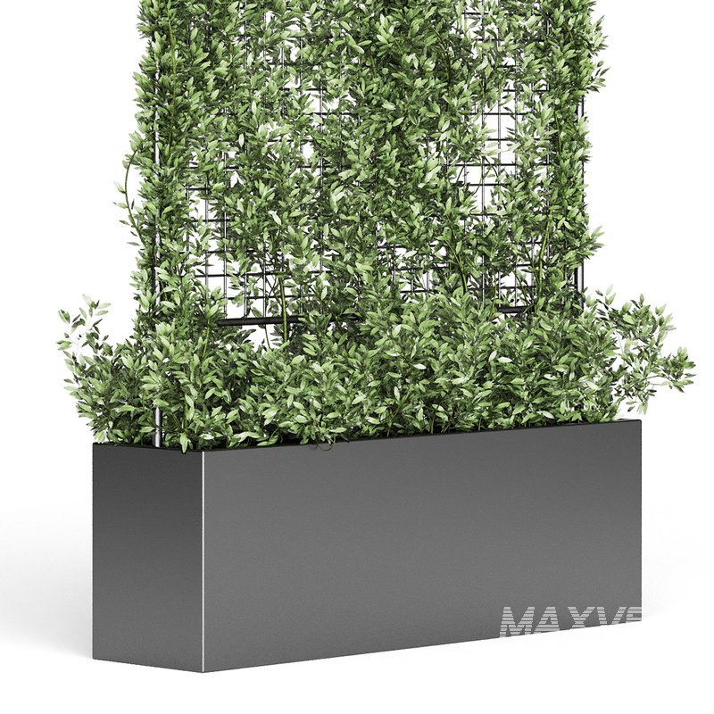 Botanical Planter 3 - Image 7