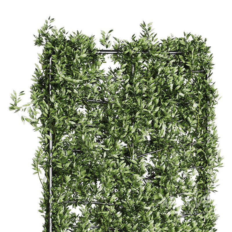 Botanical Planter 4 - Image 6