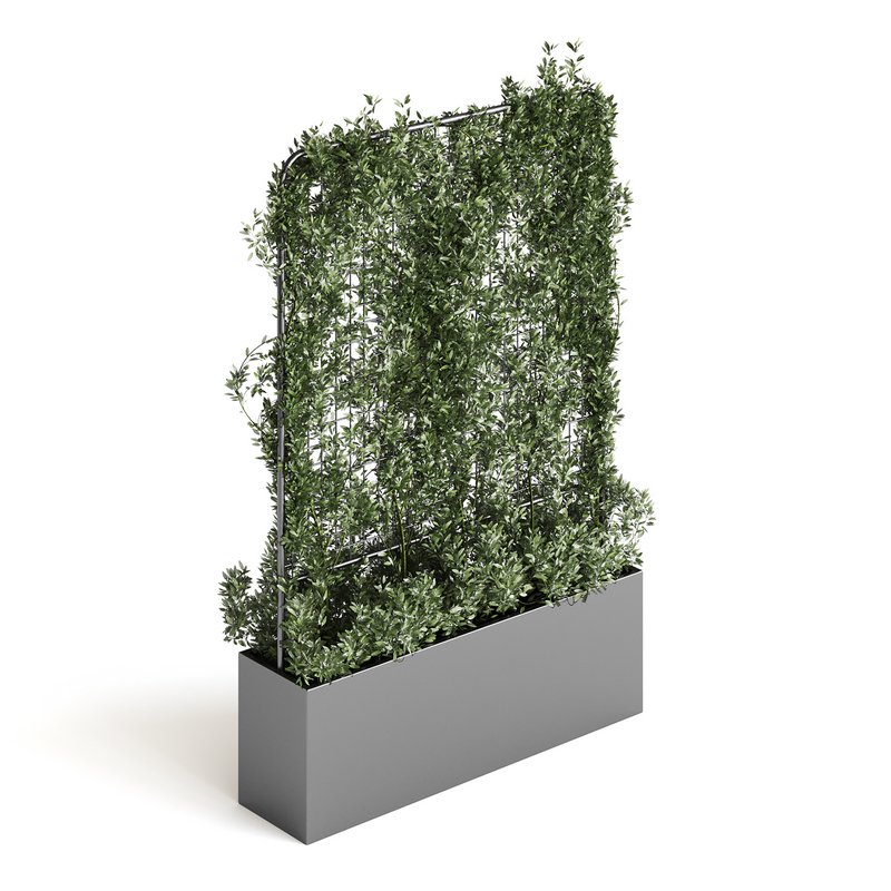 Botanical Planter 3 - Image 10