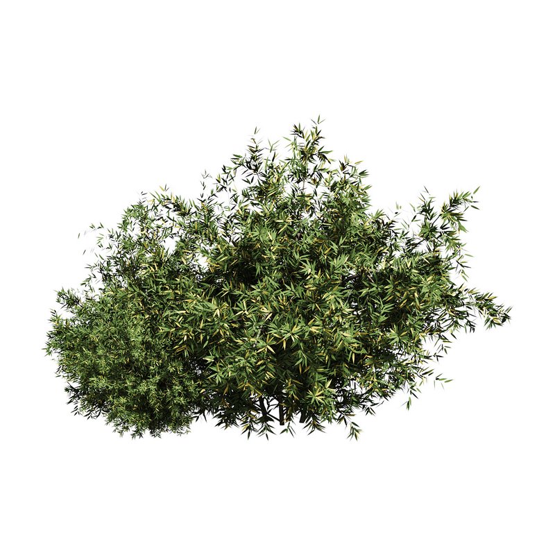 Natural Topiary Bush - Image 10