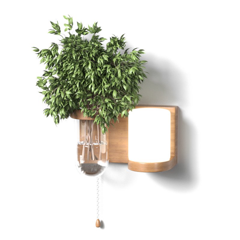 Isla Wall Mounted Lamp & Glass Vase - Image 1
