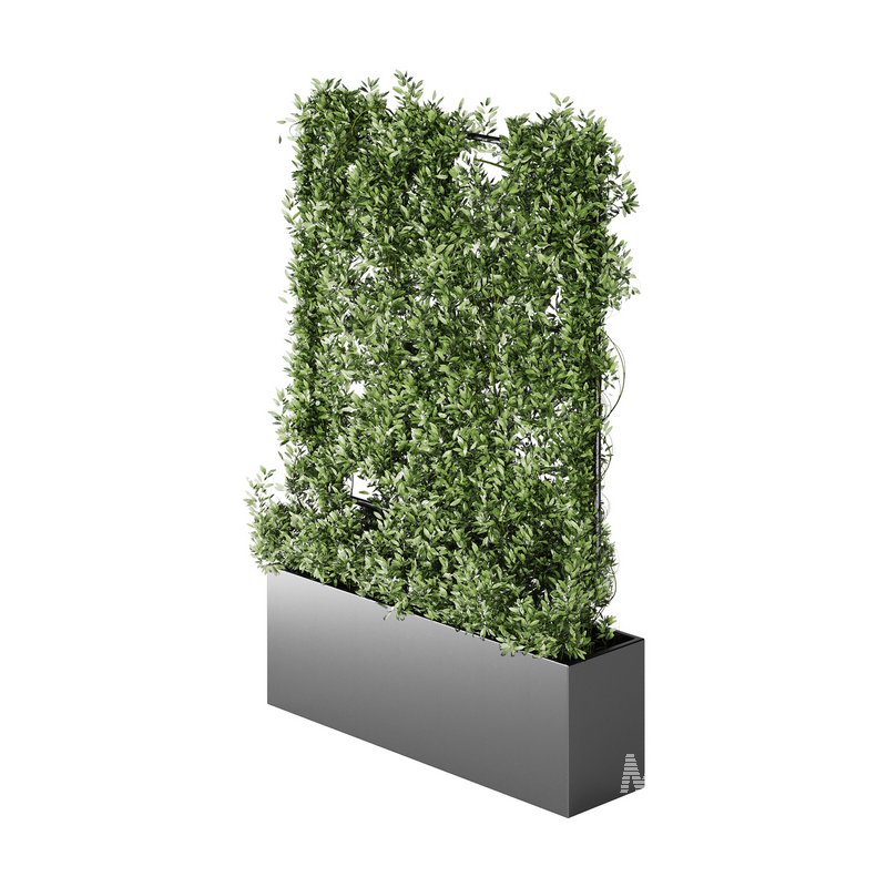 Botanical Planter 4 - Image 7