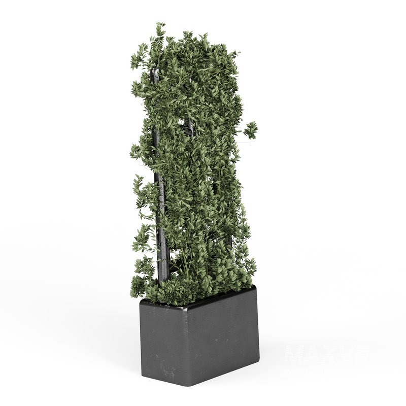 Botanical Planter - Image 11