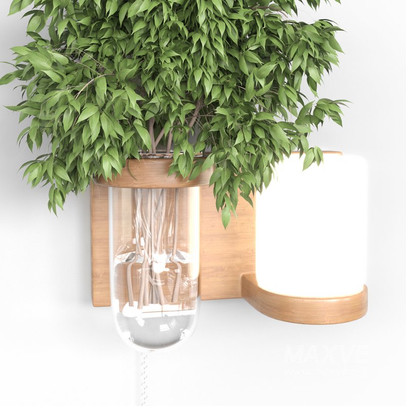 Isla Wall Mounted Lamp & Glass Vase - Image 11