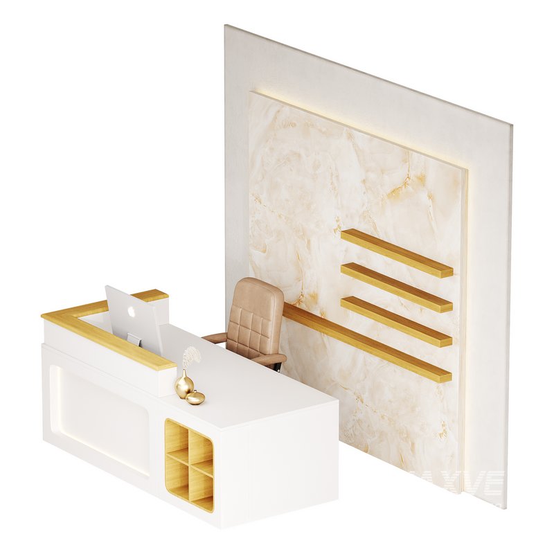 Contemporary Reception 11 - Image 11