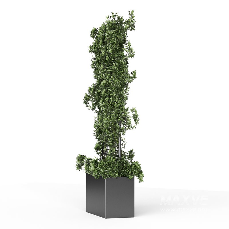 Botanical Planter 2 - Image 12