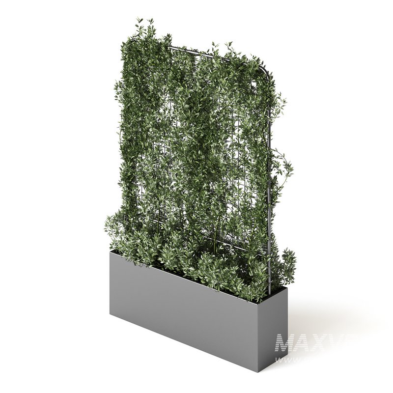Botanical Planter 3 - Image 11