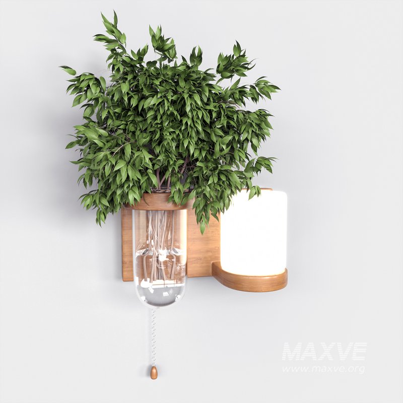 Isla Wall Mounted Lamp & Glass Vase - Image 13