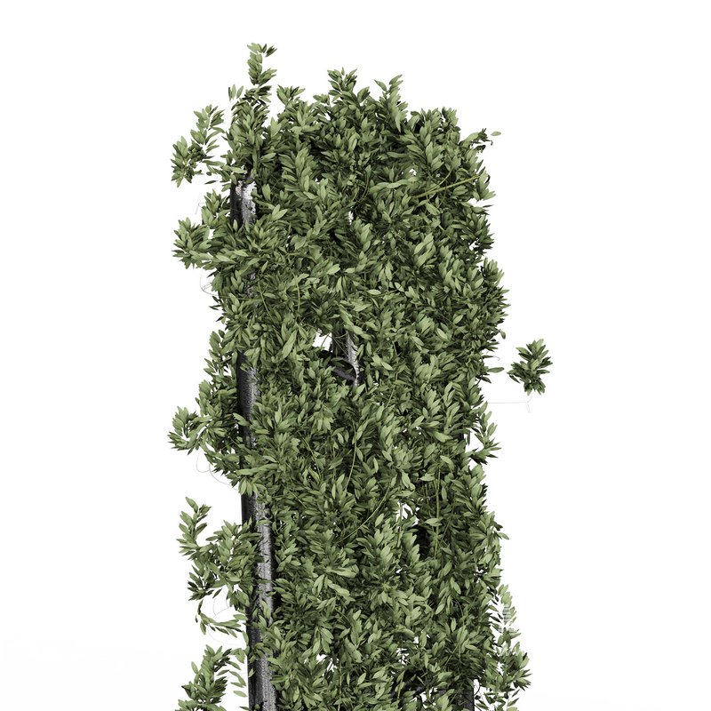 Botanical Planter - Image 12